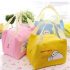 Cooler Bag